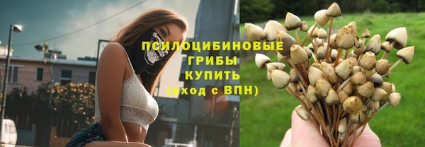 соль курить ск Нязепетровск