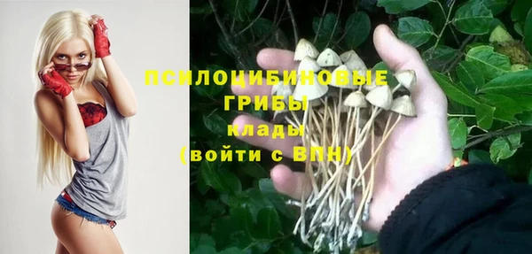 гашиш Няндома