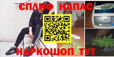 амф Бийск