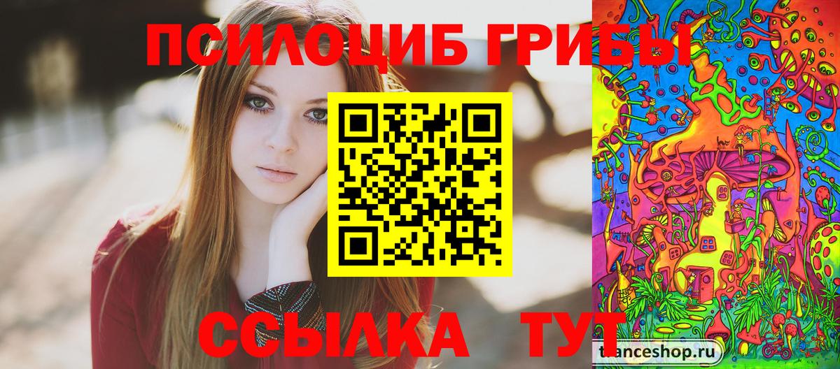 Галлюциногенные грибы Cubensis Великие Луки