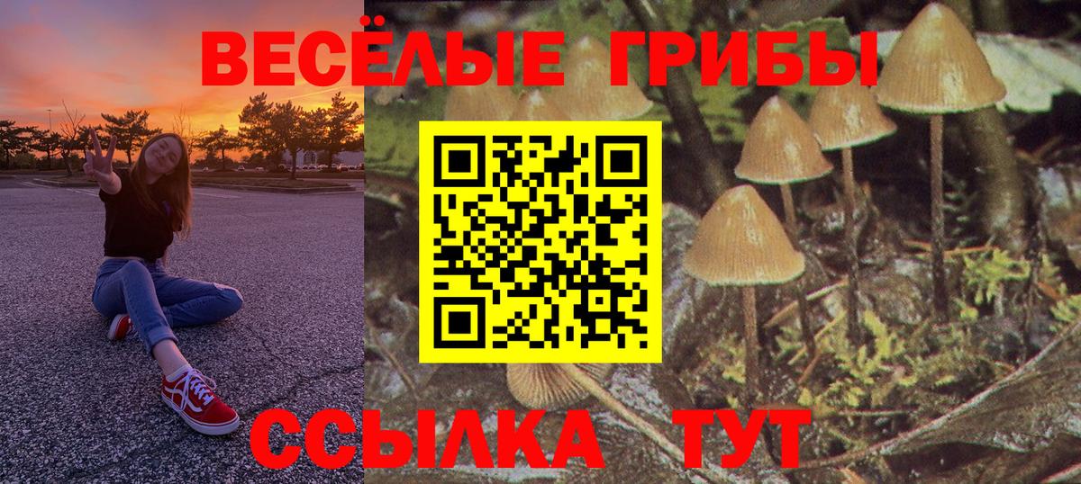 Галлюциногенные грибы Psilocybe  купить наркотики цена  Галлюциногенные грибы Psilocybe  Великие Луки 