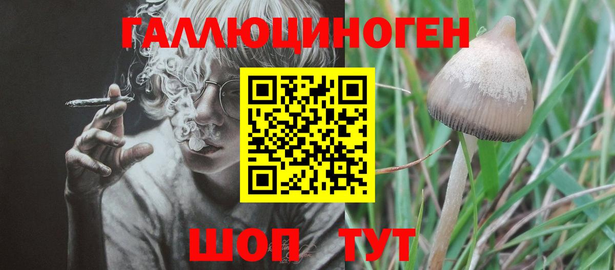 Галлюциногенные грибы прущие грибы  купить   Великие Луки  Вход с VPN 