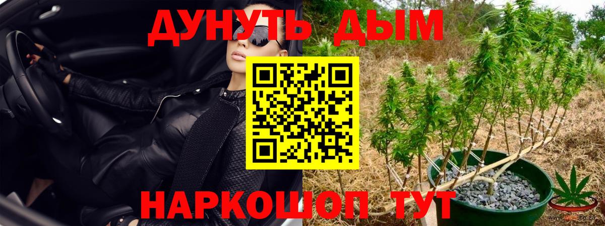 Марихуана ГИДРОПОН Великие Луки