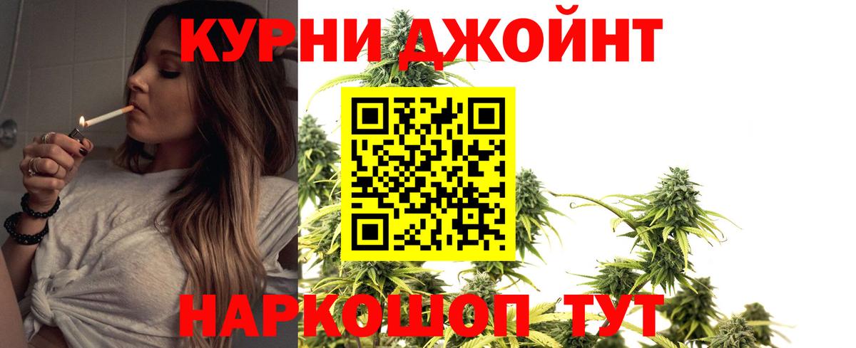 Бошки Шишки конопля  Великие Луки  Каннабис Ganja  Бошки Шишки план 